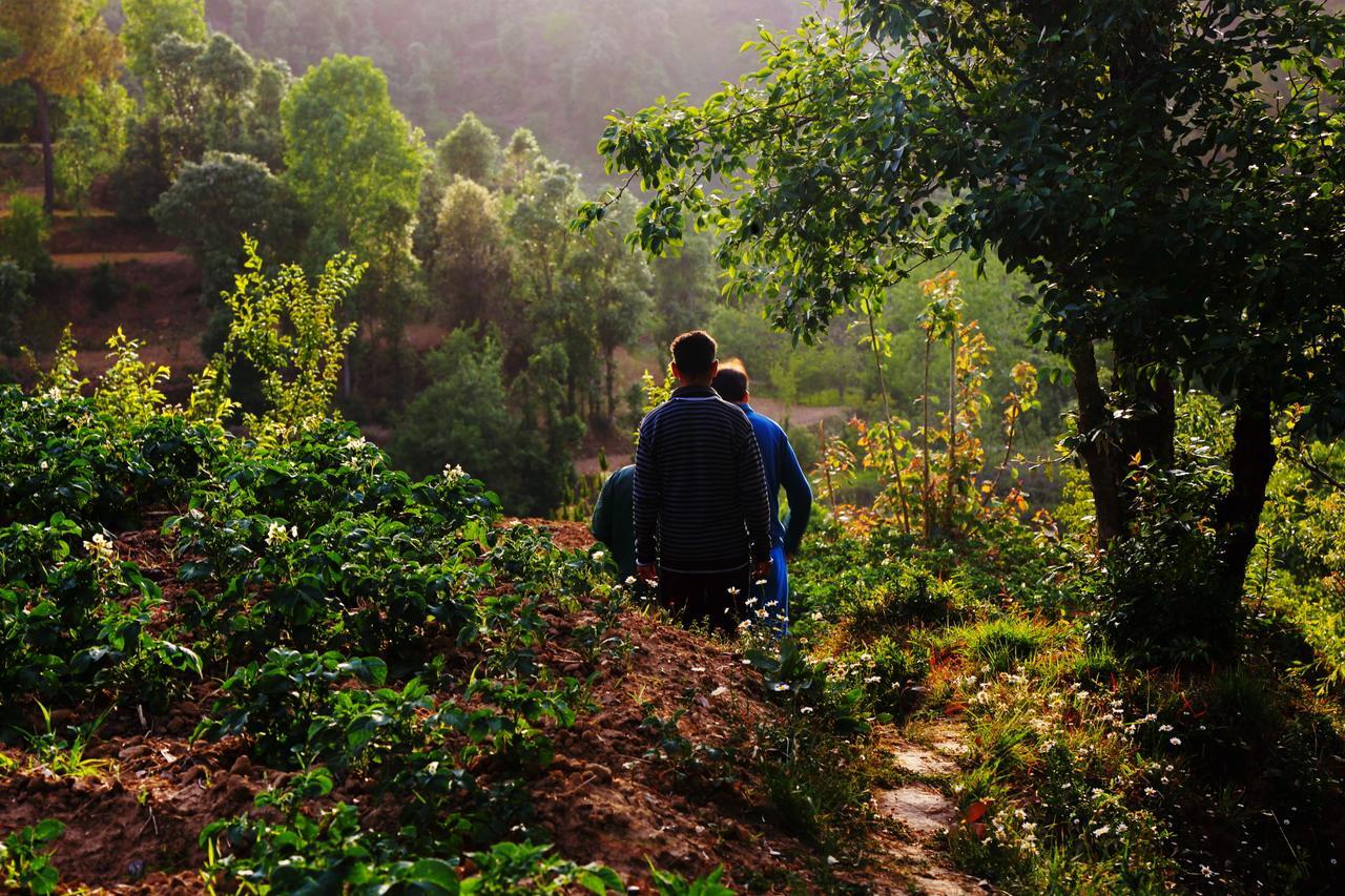 Chirping Orchard, Mukteshwar Bed and Breakfast Exterior foto